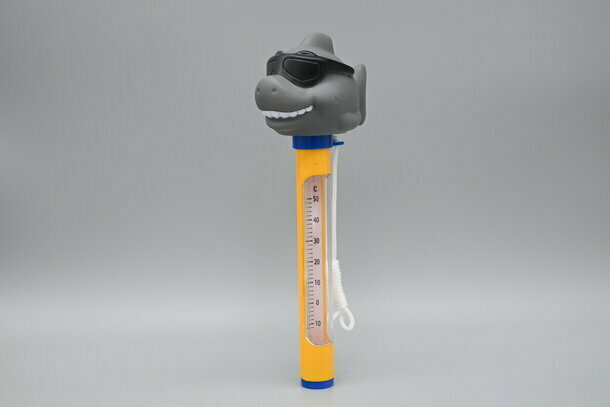 Pool Thermometer
