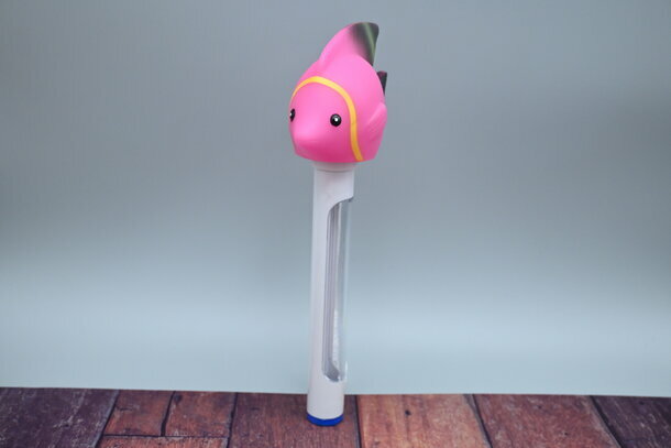 Pool-Thermometer Rosi