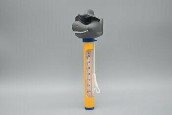 Pool Thermometer